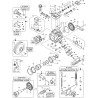 Katalpg APS31