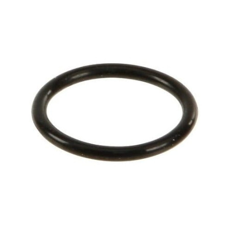 Oring 20,24x2,62