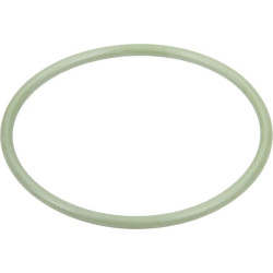 Pierścień uszczelniający o-ring 47.3x2.62mm Viton czarny Annovi Reverberi