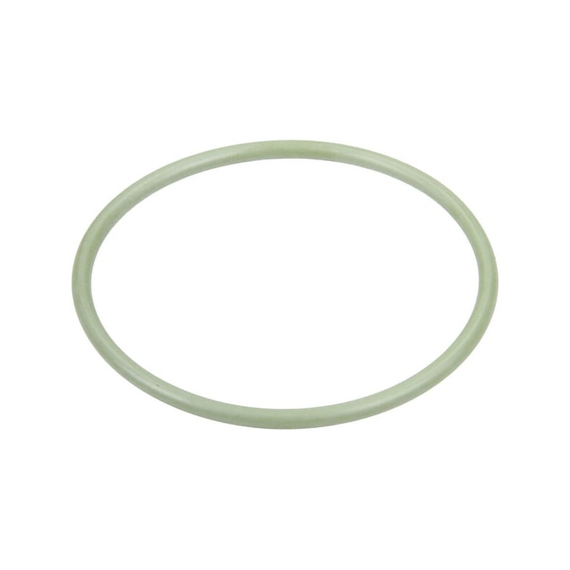 Pierścień uszczelniający o-ring 47.3x2.62mm Viton czarny Annovi Reverberi