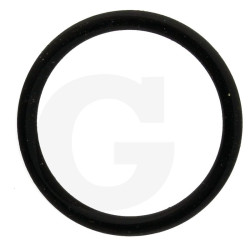 550350 Oring Annovi Reverberi