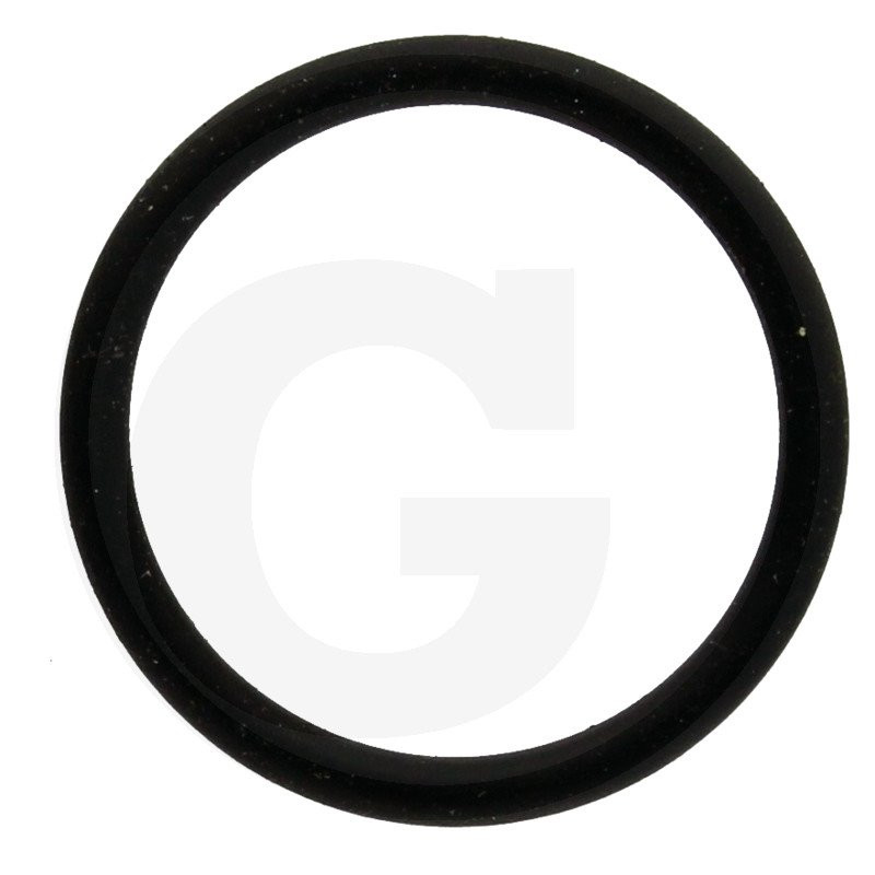550350 Oring Annovi Reverberi