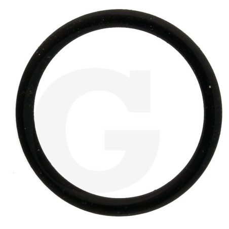 550350 Oring Annovi Reverberi