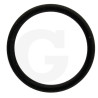 550350 Oring Annovi Reverberi