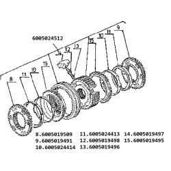 6005019496