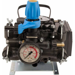POMPA MTP MC25 MNF 230/50