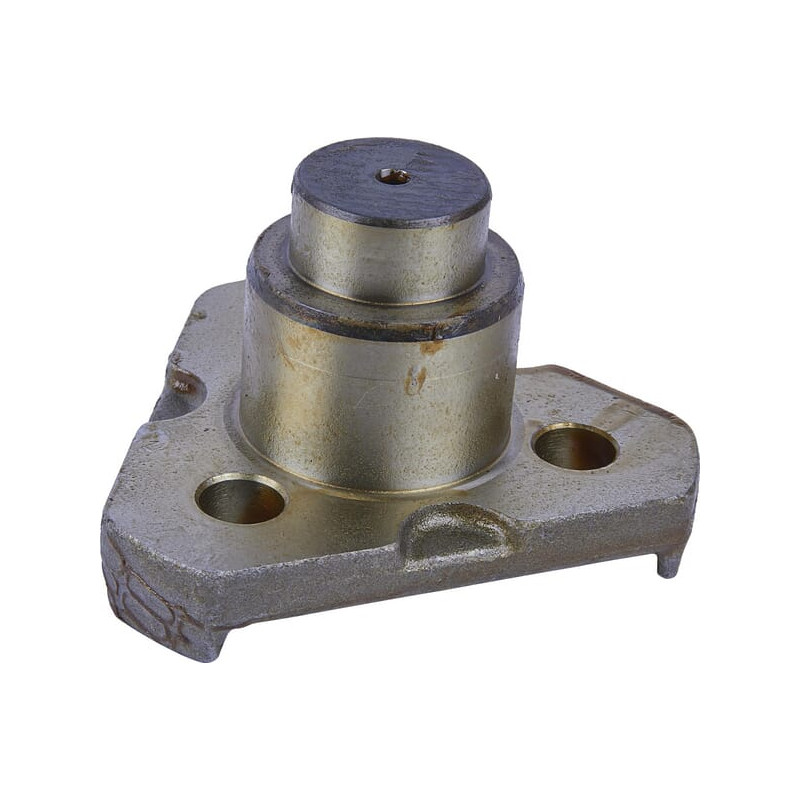 Stub axle pivot Carraro 123640