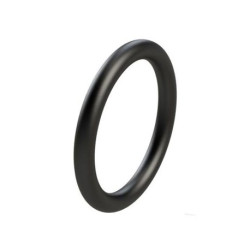 Oring 29x3,0
