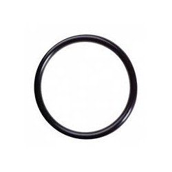 Oring 49x4