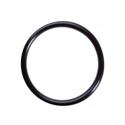Oring 24x3 Viton