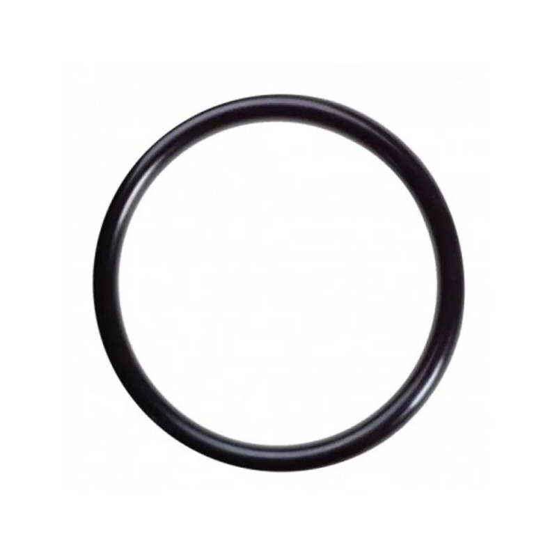 Oring 24x3 Viton