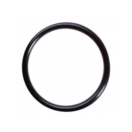 Oring 24x3 Viton