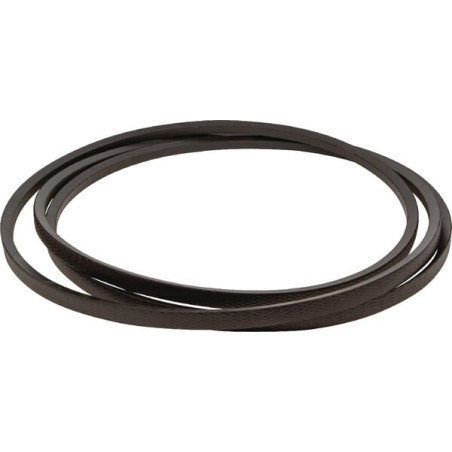 V-belt