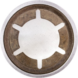 Pierścień zabezpieczający z łbem soczewkowym Starlock V2A, 16 mm