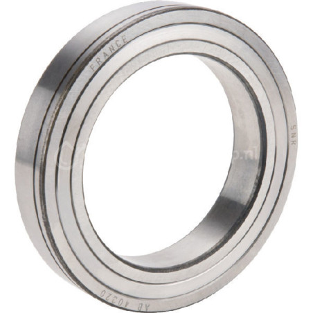 6005018589
