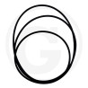 Oring 355,19 x 3,53
