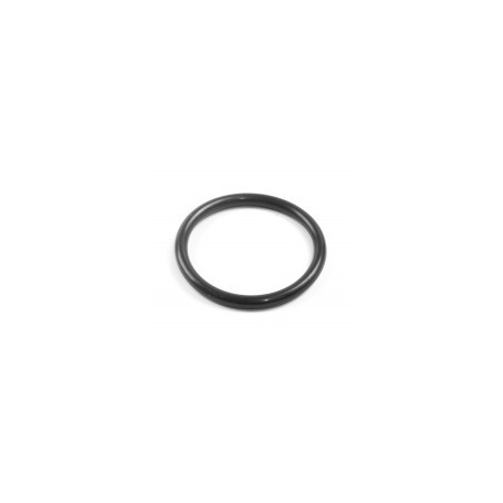 Oring  D32 (Rif 3832)