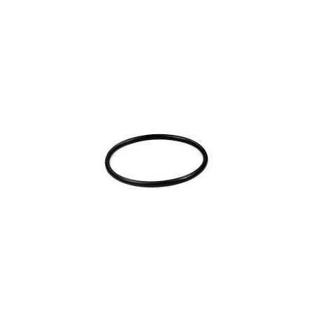Oring  D60,32 (Rif 164)