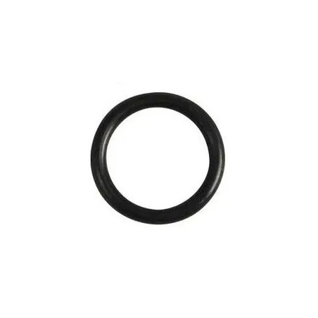 Oring D23 (Orm 0230-30)