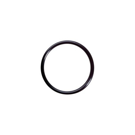 Oring D63 Udor