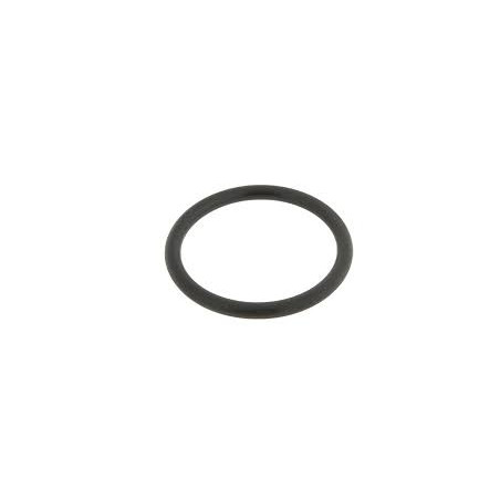 Oring pokrywy zaworu