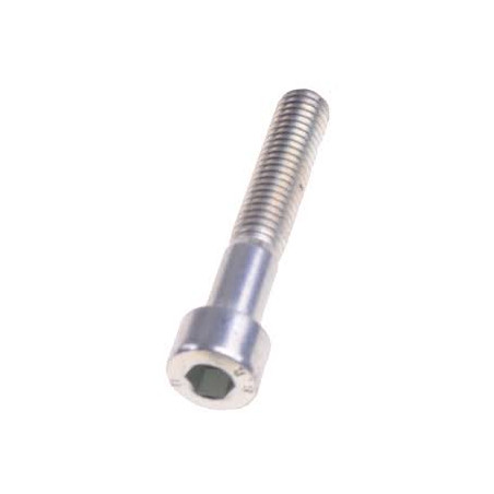 śruba M10x55 imbusowa Uni5931
