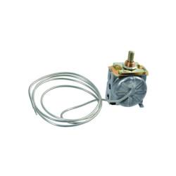 Termostat 6005014276