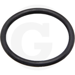 O-ring do grodzi 1''