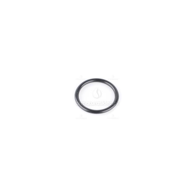 22 Oring 3/4"