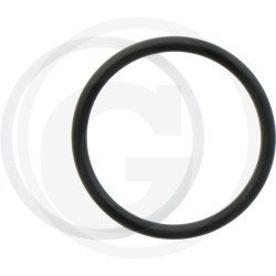 Oring oporowy