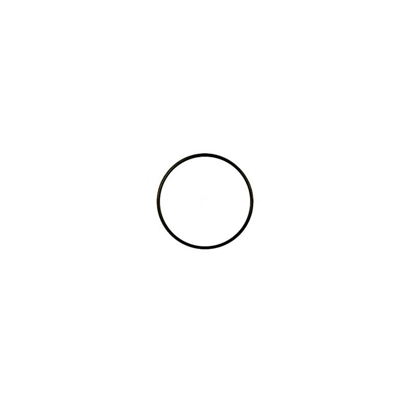 AM64 Oring