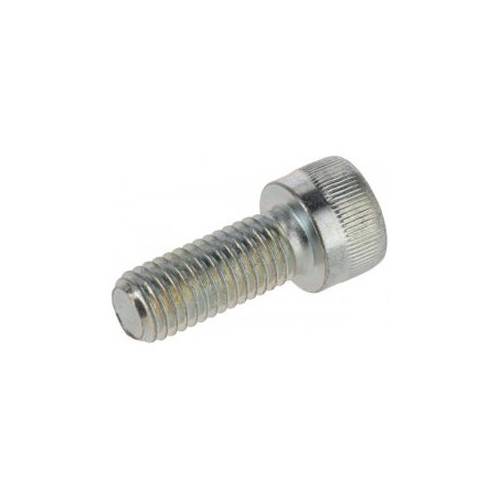 CM103 Śruba M10x25 TCEI 