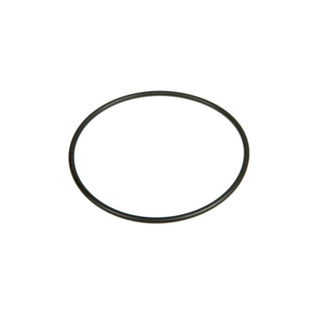 ST207 Oring 171,12x2,62