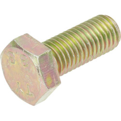 Śruba z łbem 6-kt. M12x30 mm
