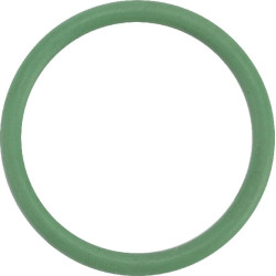 Pierścień uszczelniający o-ring 17.17x1.78 mm HNBR zielony