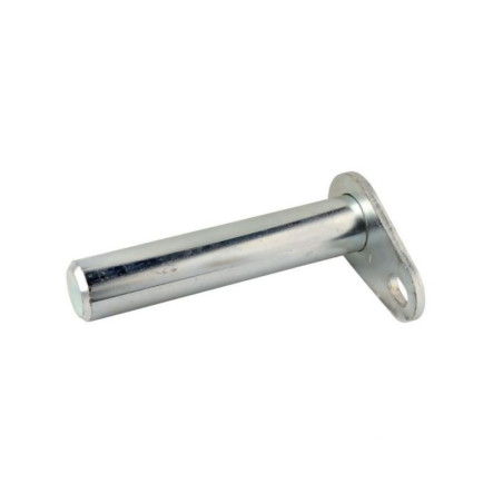 Sworzeń 30 x 74 mm
