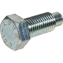 Śruba