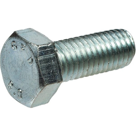 Śruba