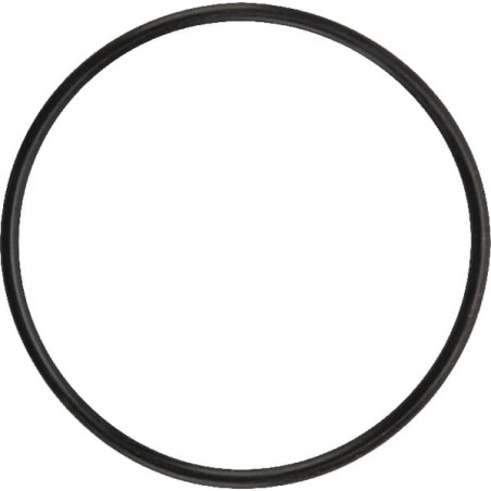 Pierścień uszczelniający o-ring