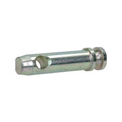 Sworzeń standardowy, 19 x 52 mm