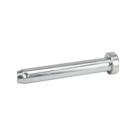 Sworzeń standardowy, 19 x 76 mm
