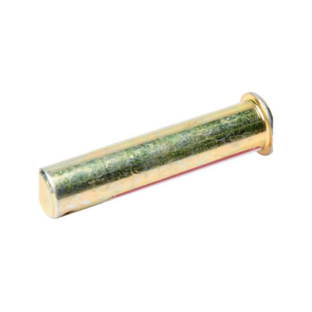 Sworzeń standardowy, 19 x 78 mm