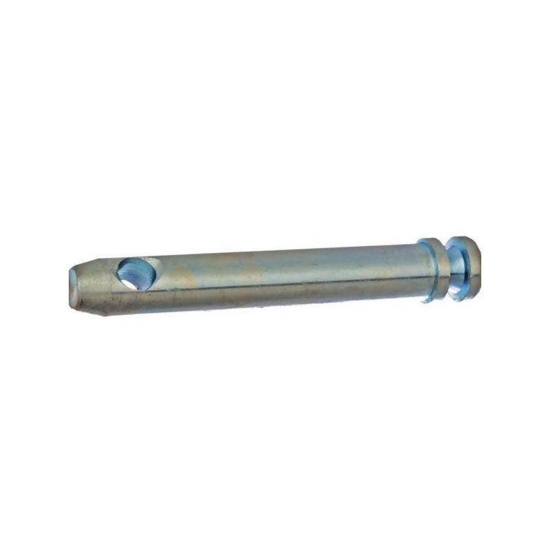 Sworzeń standardowy, 19 x 102 mm