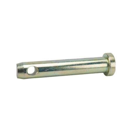 Sworzeń standardowy, 22 x 103 mm