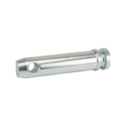 Sworzeń standardowy, 25 x 105 mm