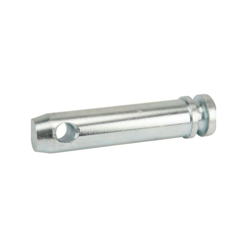 Sworzeń standardowy, 25 x 105 mm