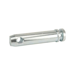 Sworzeń standardowy, 25 x 83 mm