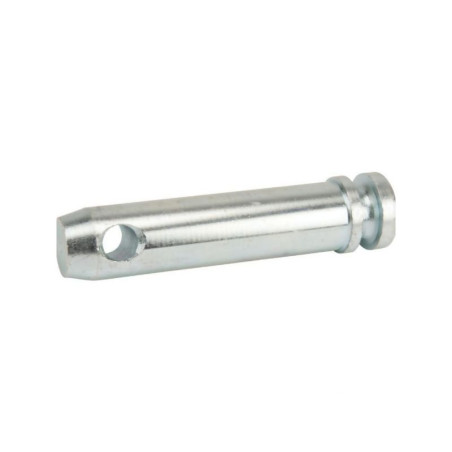 Sworzeń standardowy, 25 x 83 mm
