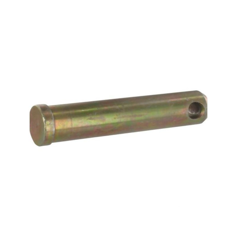 Sworzeń standardowy, 25 x 117 mm
