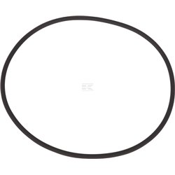 Pierścień uszczelniający o-ring